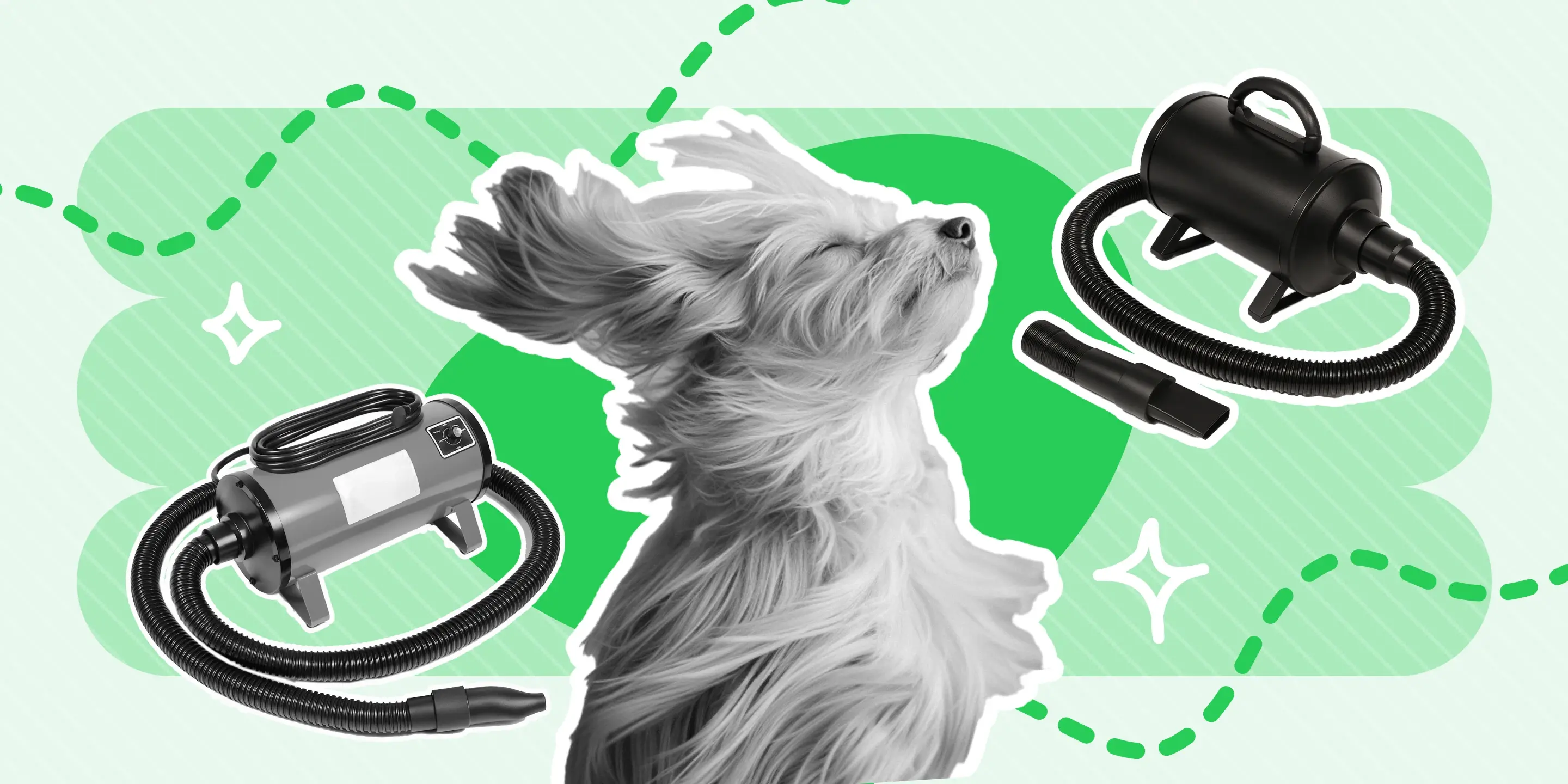 Picture of Best Professional Dog Grooming Dryers of 2023 - MoeGo
